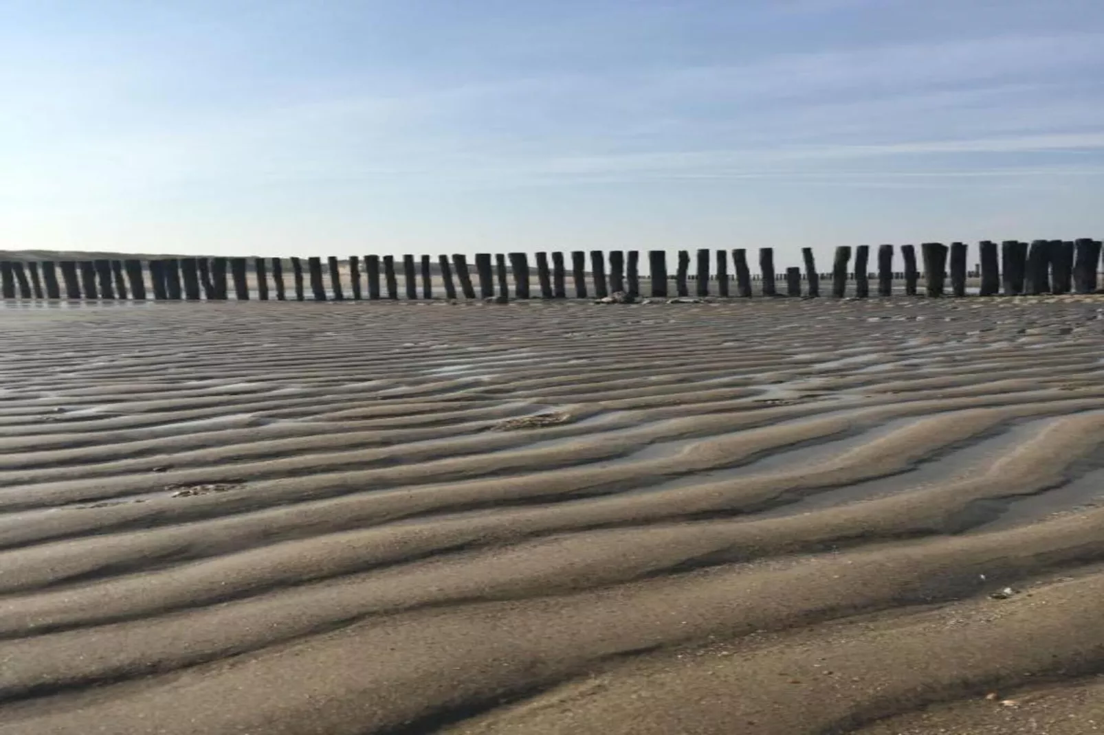 Noordzee Résidence Dishoek 5-Gebiete Sommer 5 km