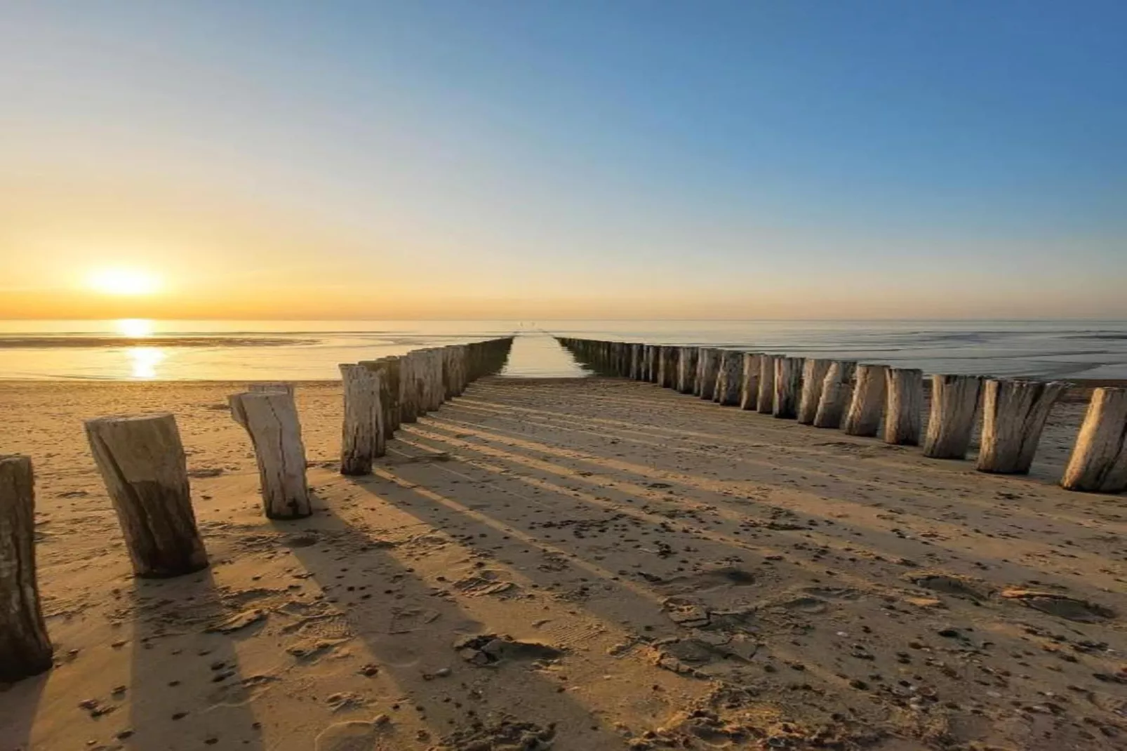 Noordzee Résidence De Banjaard 20-Areas within 20km in summer