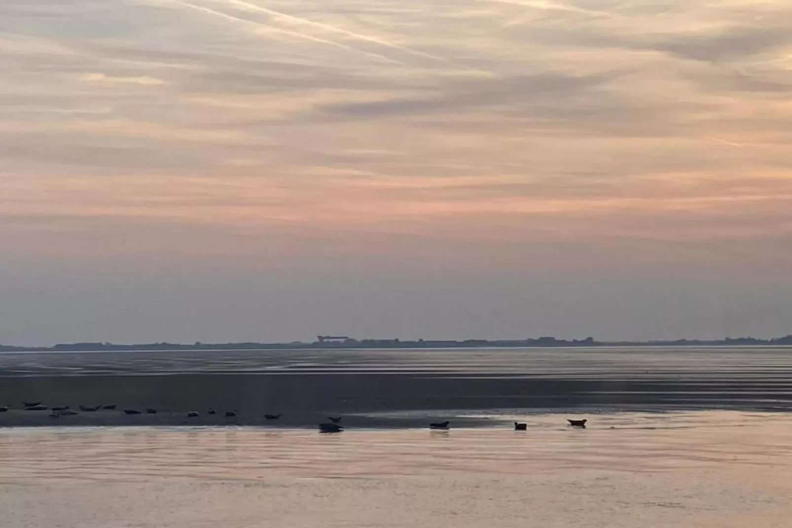 De Tjiftjaf Huis Nr 21 - Zones été à 20 km
