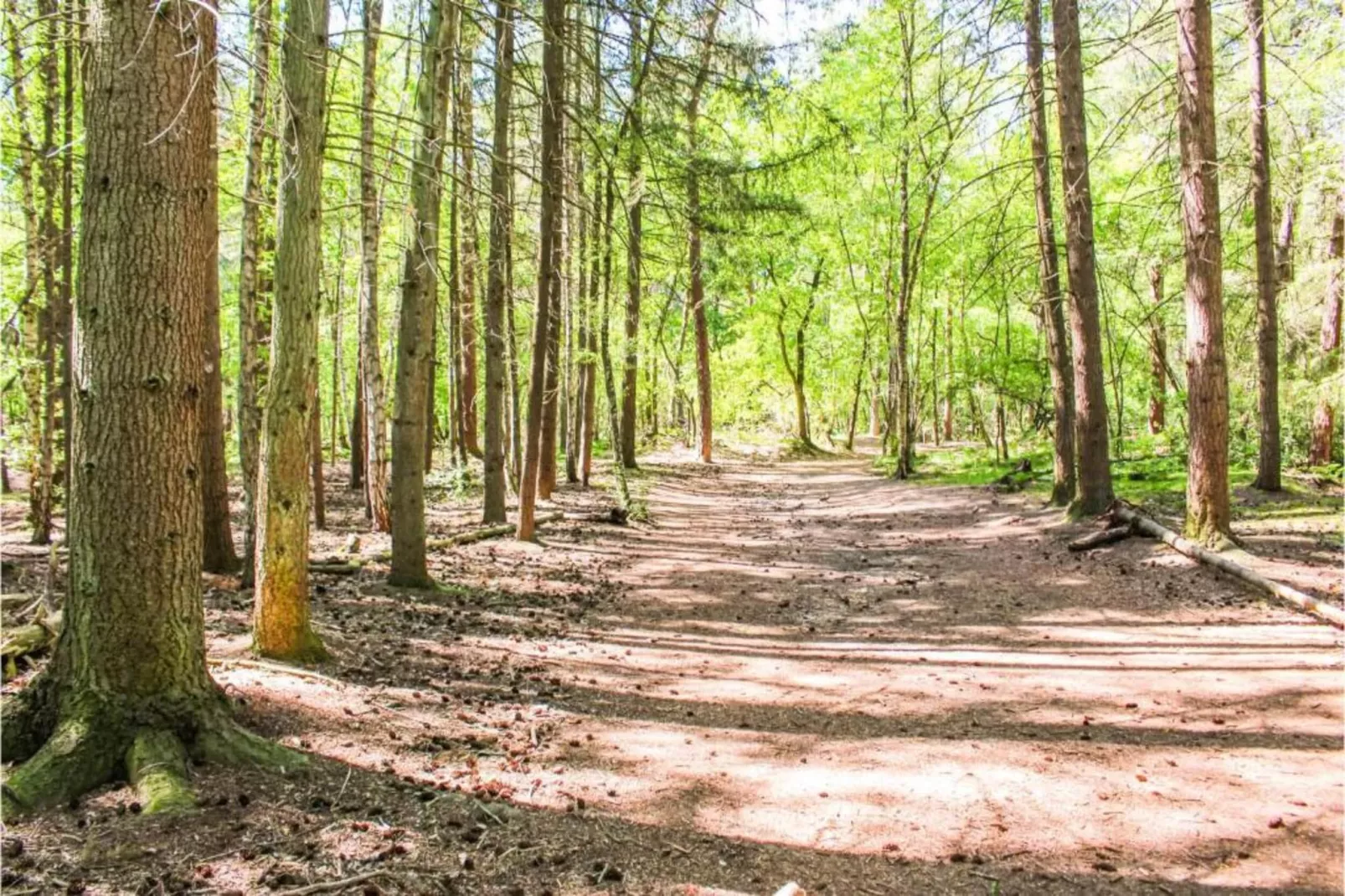 Recreatiepark Duinhoeve 1-Areas within 20km in summer