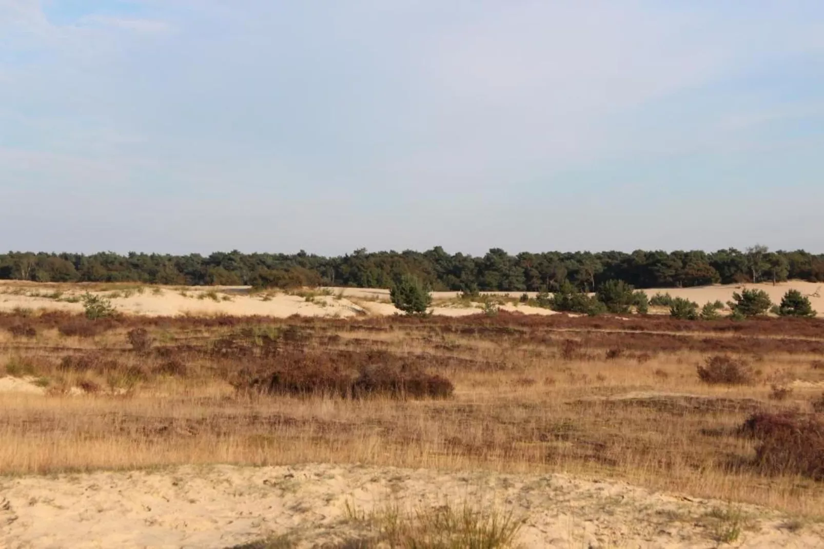Recreatiepark Duinhoeve 9-Areas within 20km in summer