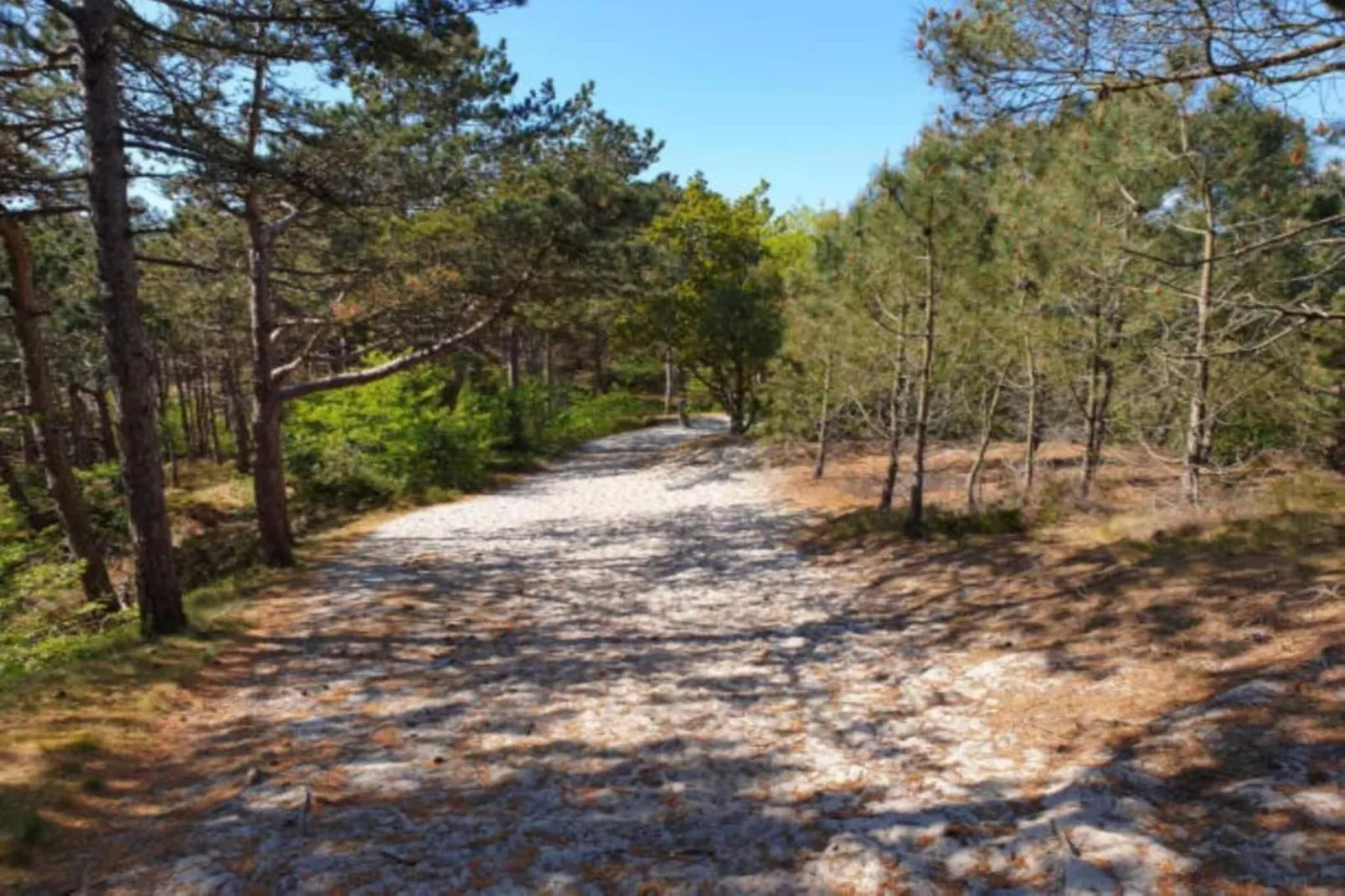 Anna's Place-Areas within 20km in summer