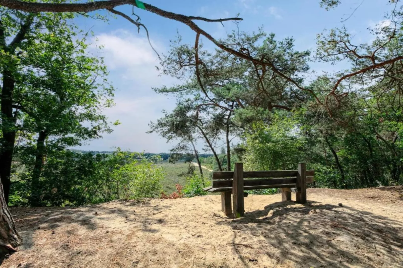 Vakantiepark Sandberghe 3-Areas within 20km in summer