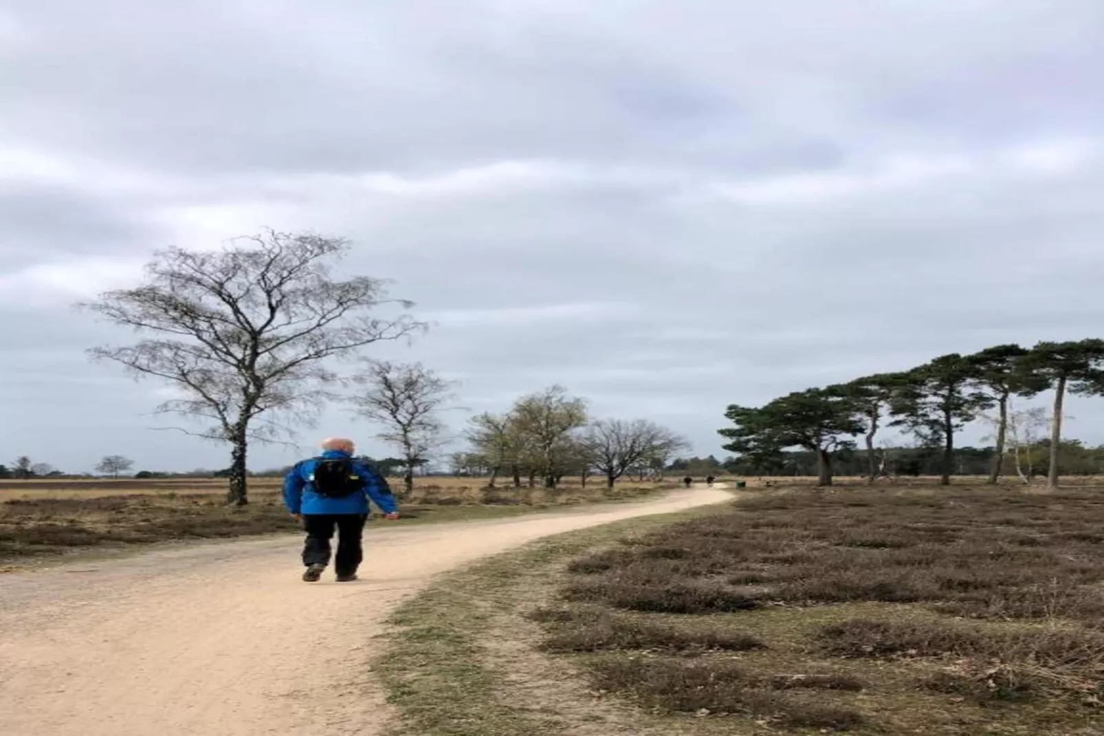 Bospark 't Wolfsven 18-Gebiete Sommer 5 km