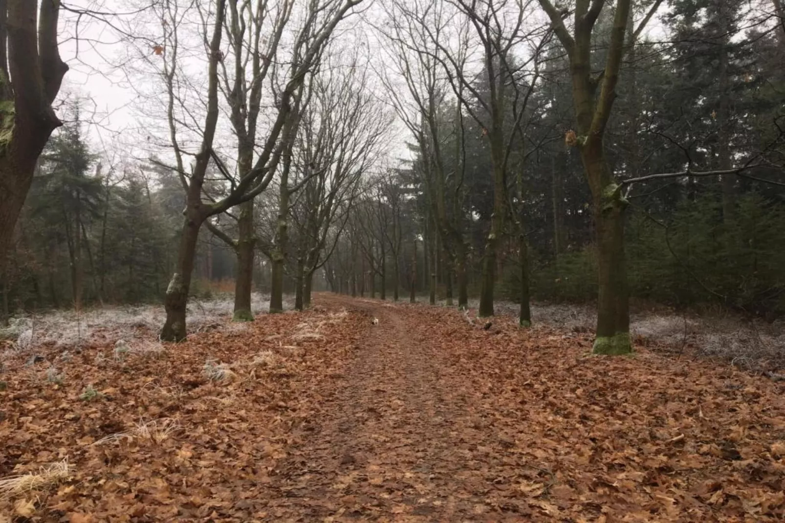 Dorpswoning Het Uitzicht-Areas within 20km in summer