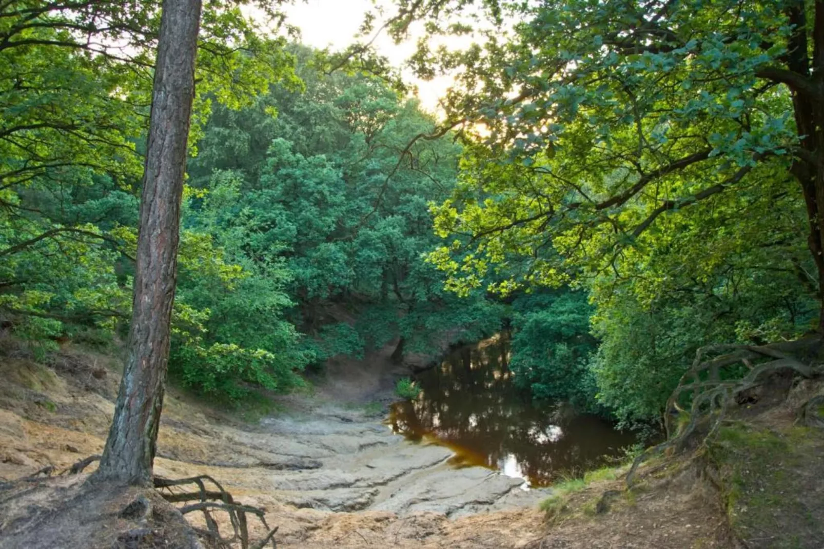 Buitenhof De Leistert 18-Areas within 20km in summer