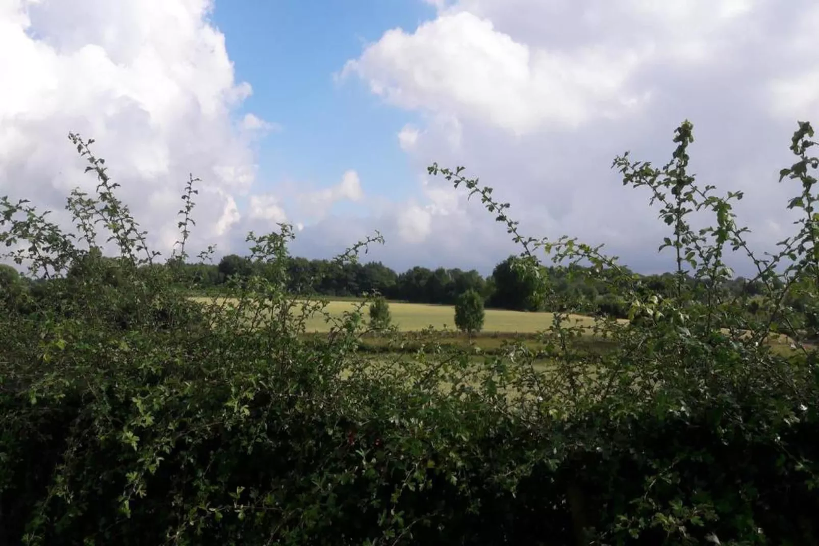 Resort Gulpen 10-Areas within 20km in summer