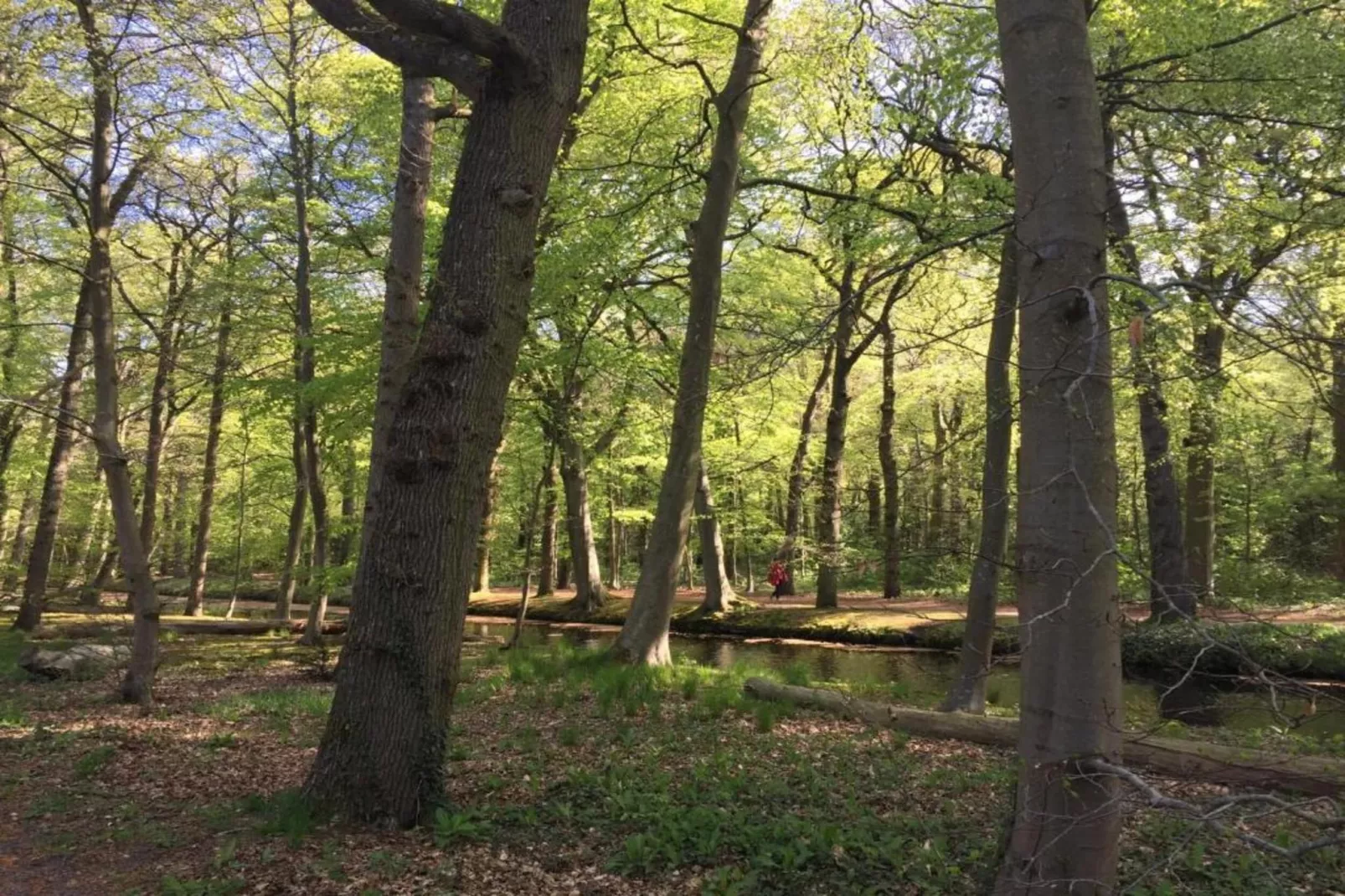 Hof van Craeck I-Areas within 20km in summer