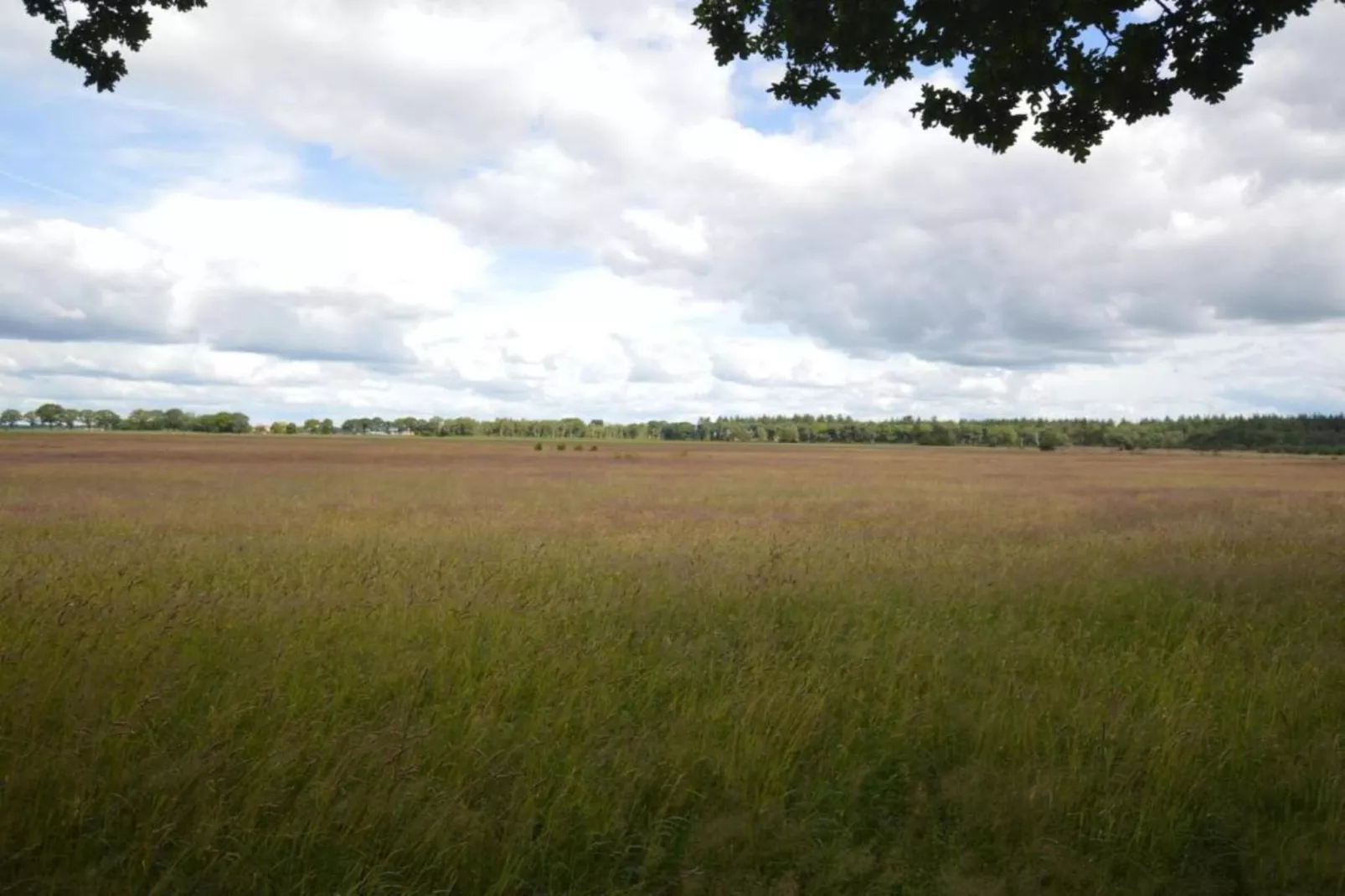 Hof van Salland 2-Gebiete Sommer 5 km
