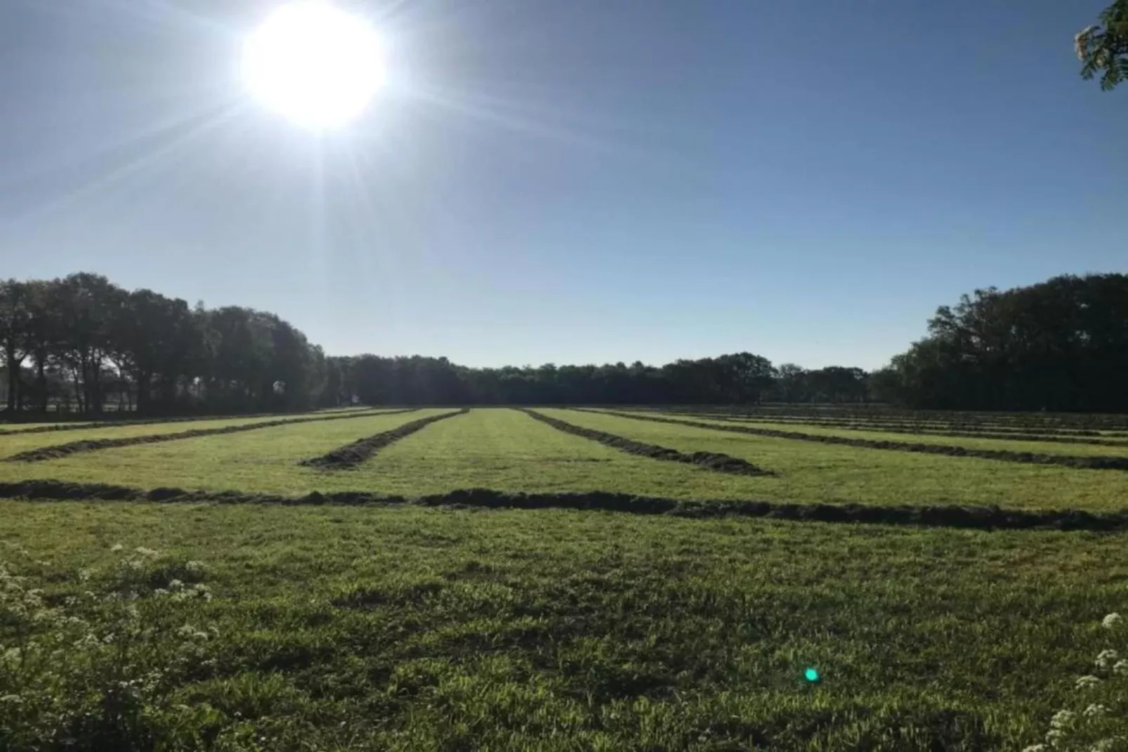 Buitenplaats Holten 16-Areas within 20km in summer