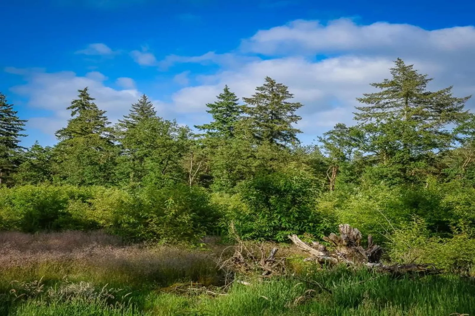Buitenplaats Holten 8-Areas within 5km in summer