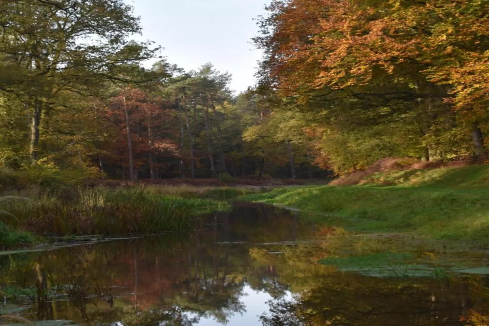 De ouwe diepvries-Areas within 20km in summer