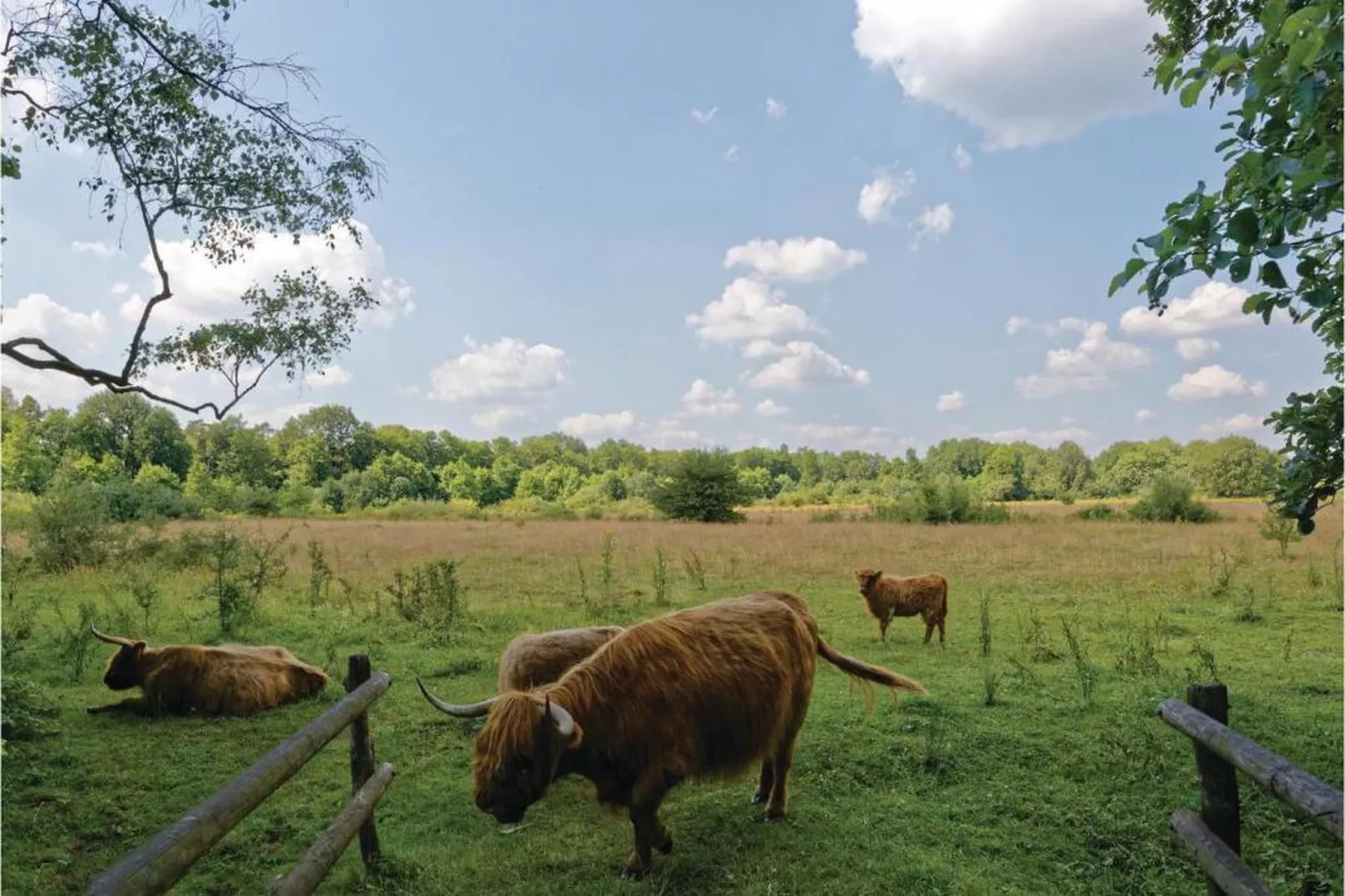 Vakantiepark Horsetellerie 4-Zones été à 20 km