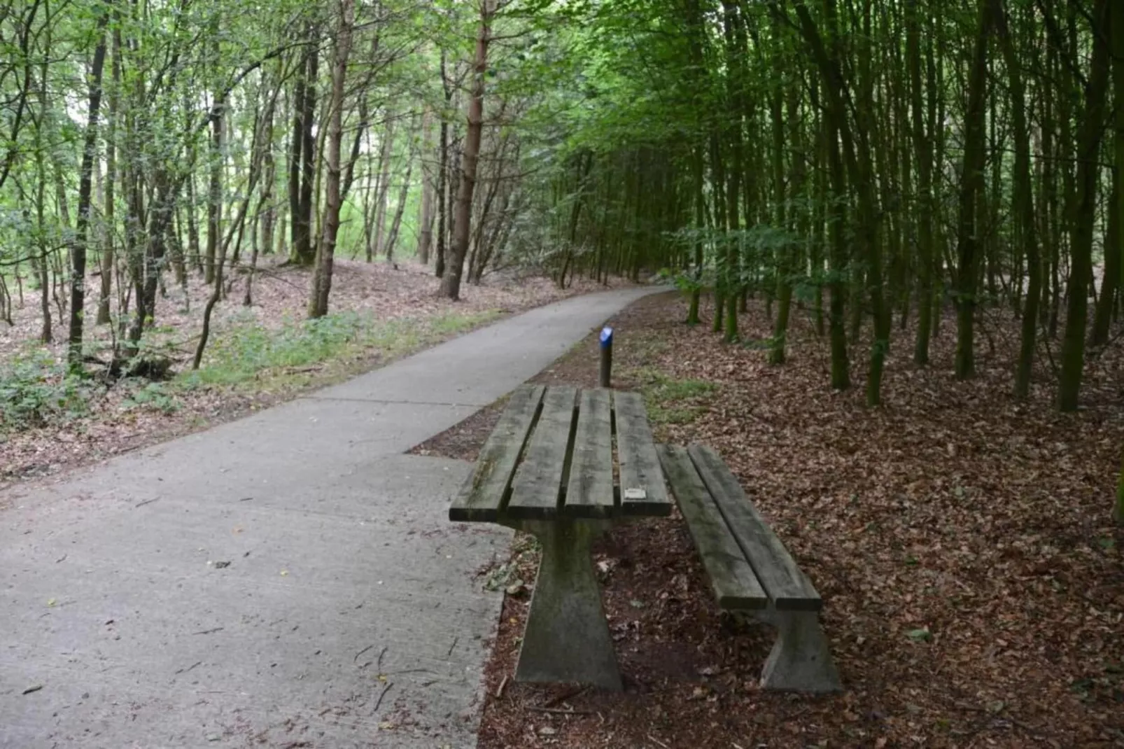 RCN Vakantiepark de Noordster 4-Gebiete Sommer 20 km