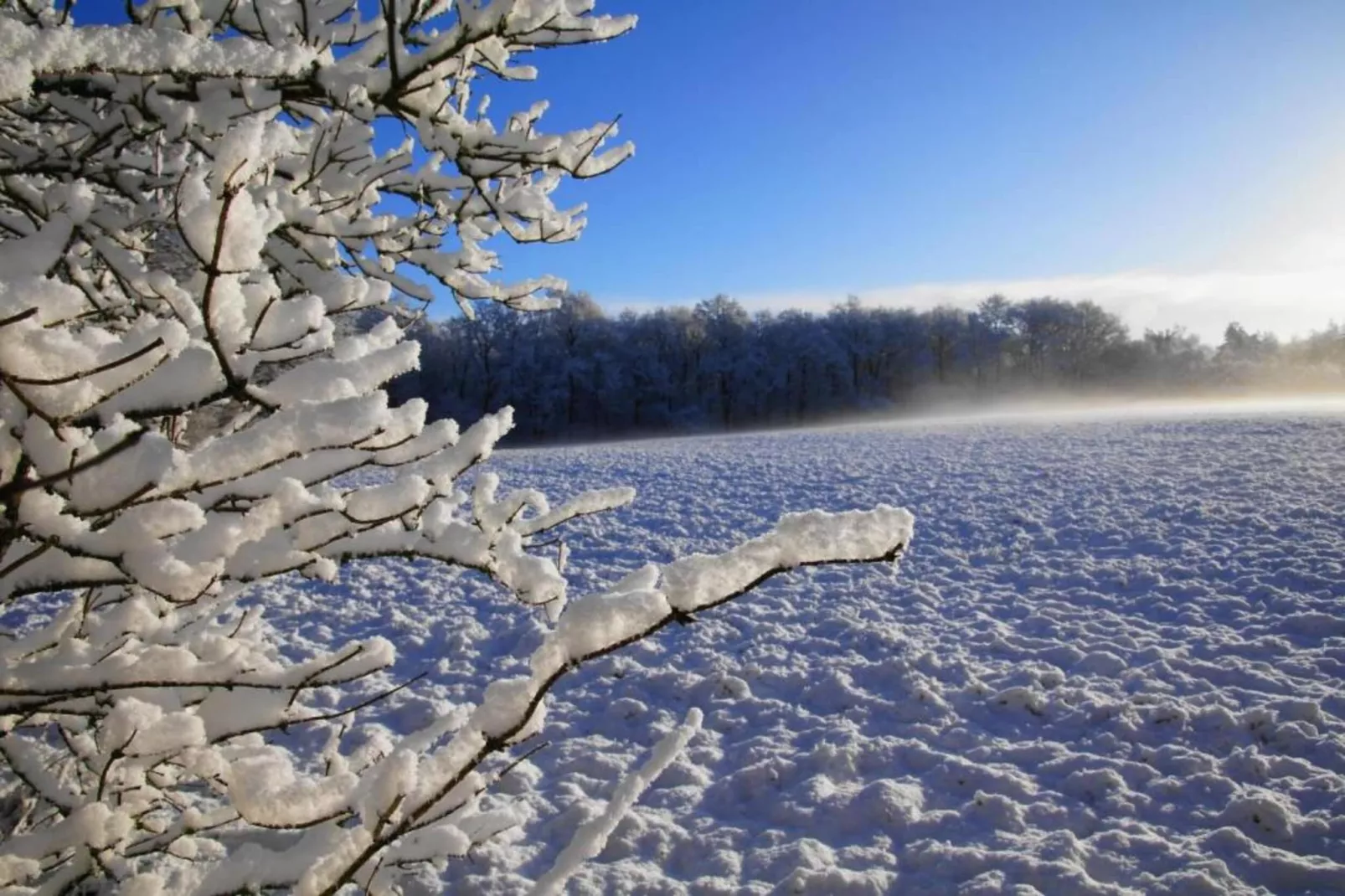 Residence de Eese 15-Zones hiver à 20 km