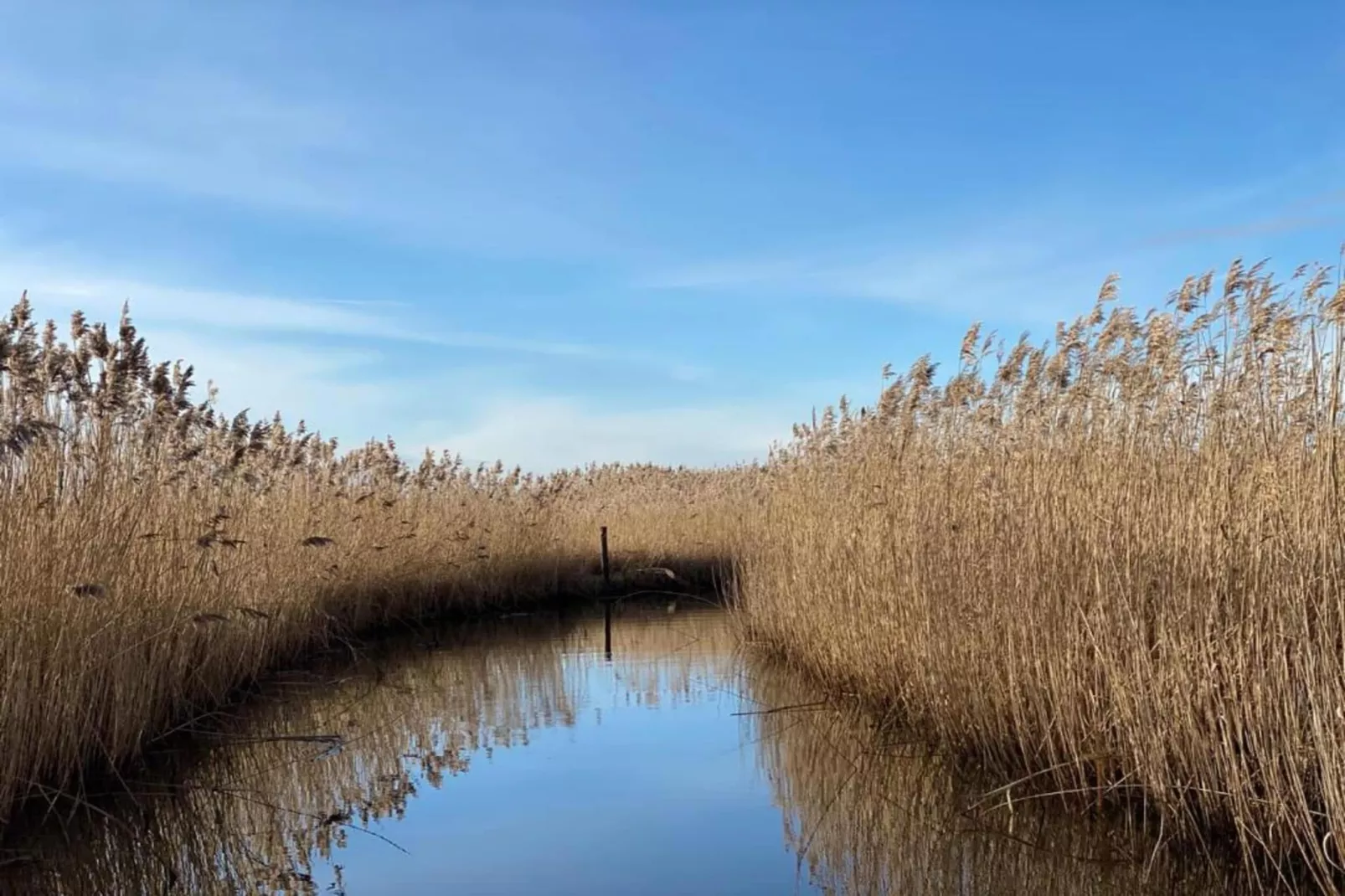 Vakantiepark Giethoorn 7-Areas within 5km in summer