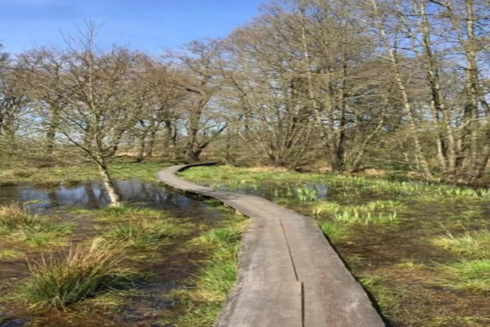 Bospark Lunsbergen 7-Gebiete Sommer 20 km