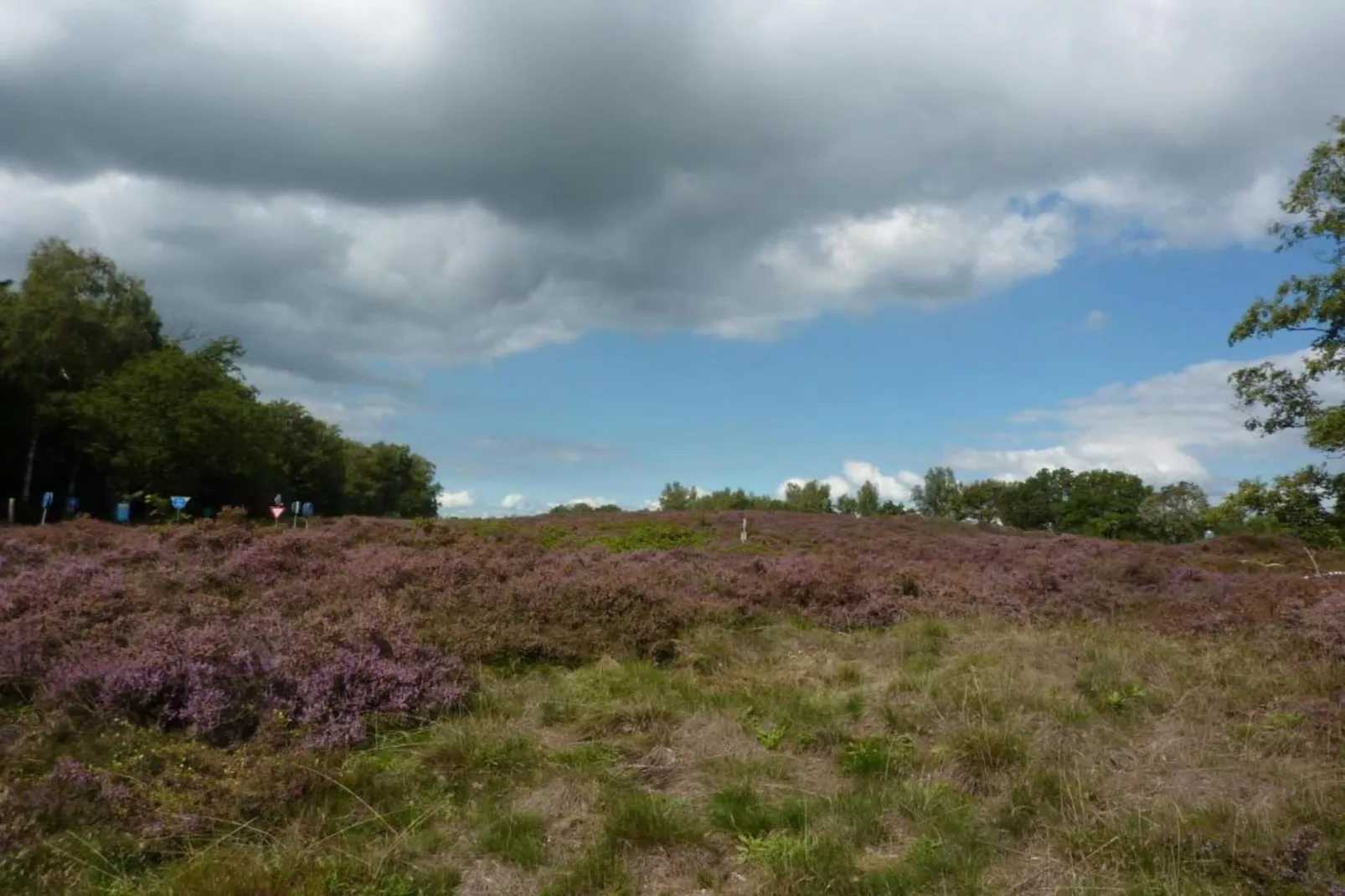 Bospark Lunsbergen 5-Areas within 20km in summer