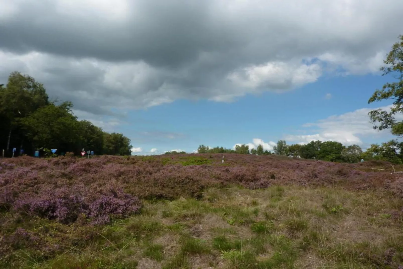 Bospark Lunsbergen 6-Areas within 20km in summer