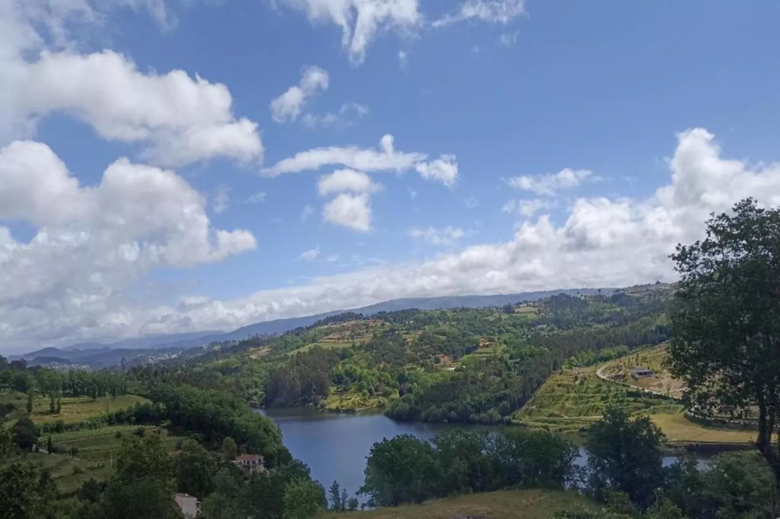 Mira-Areas within 5km in summer