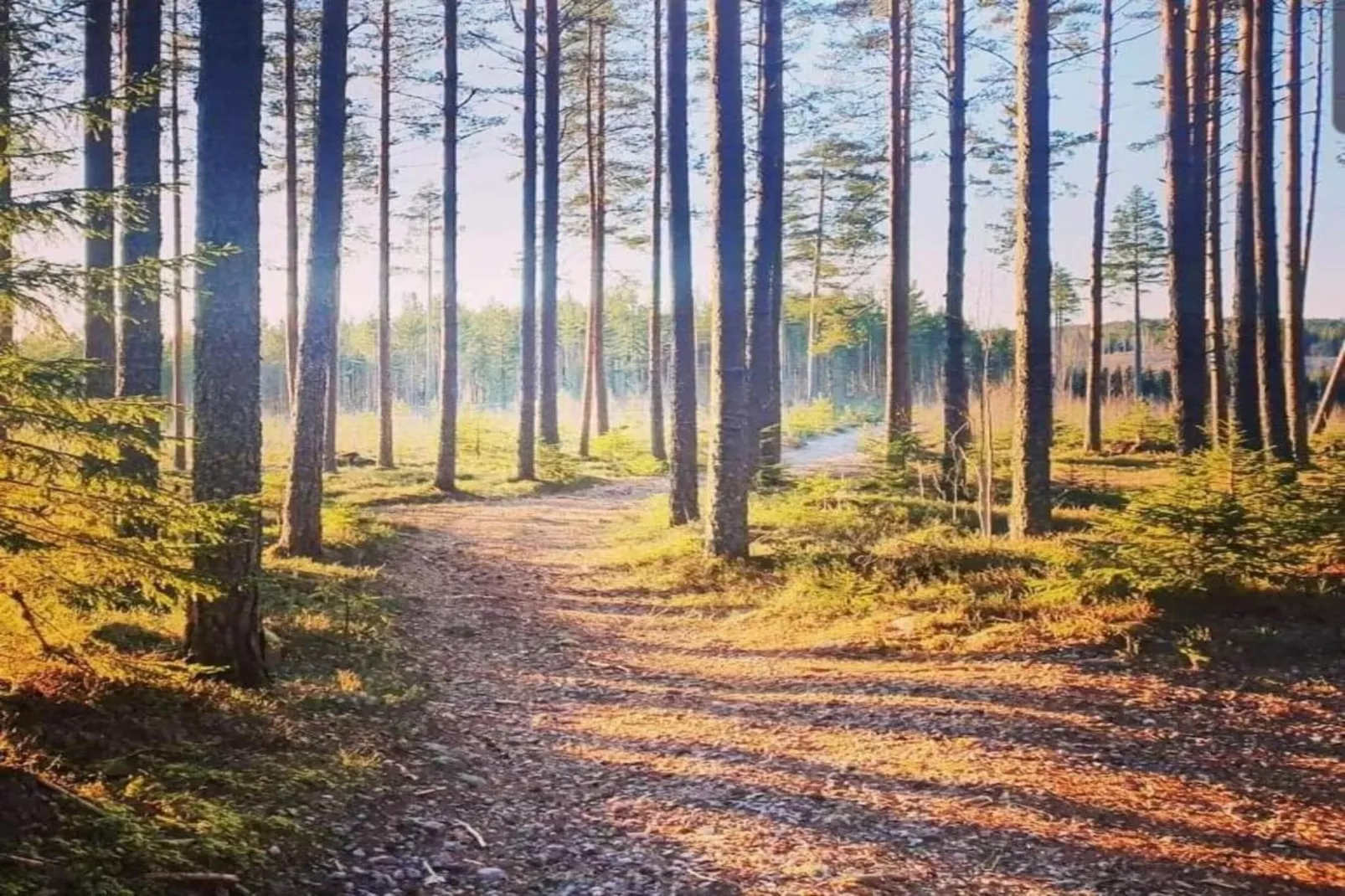 Värmlands Sjö och Fjäll Camping 14-Gebiete Sommer 20 km