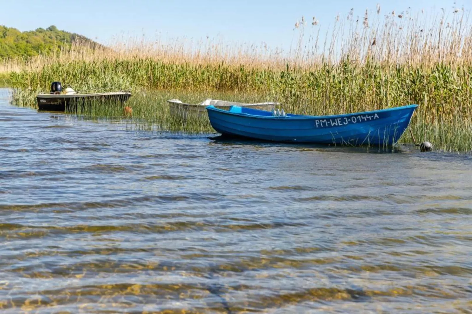 Holiday house by the lake-Areas within 20km in summer