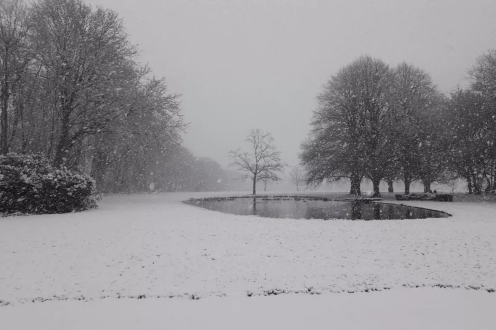 Parc de Kievit 20-Gebiet Winter 20 km