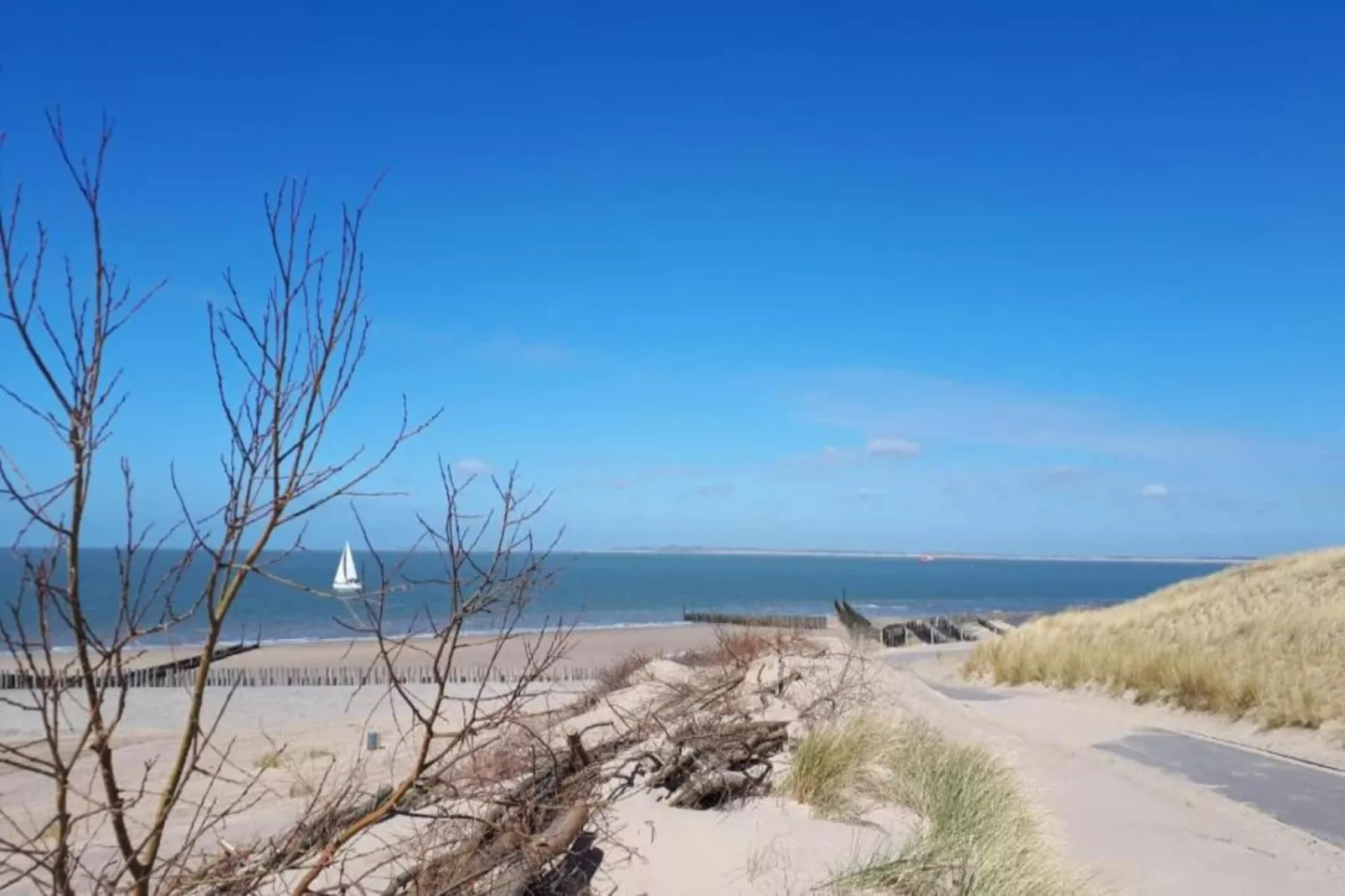 Vakantiepark Zeebad 16 - Areas within 5km in summer