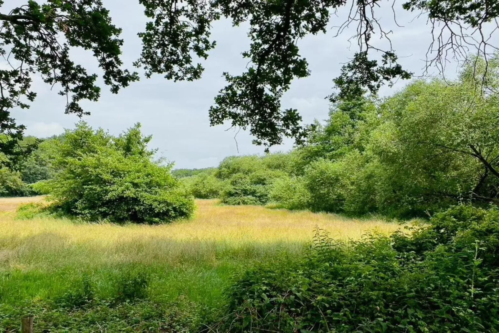 Buitenplaats Gerner 8-Areas within 20km in summer