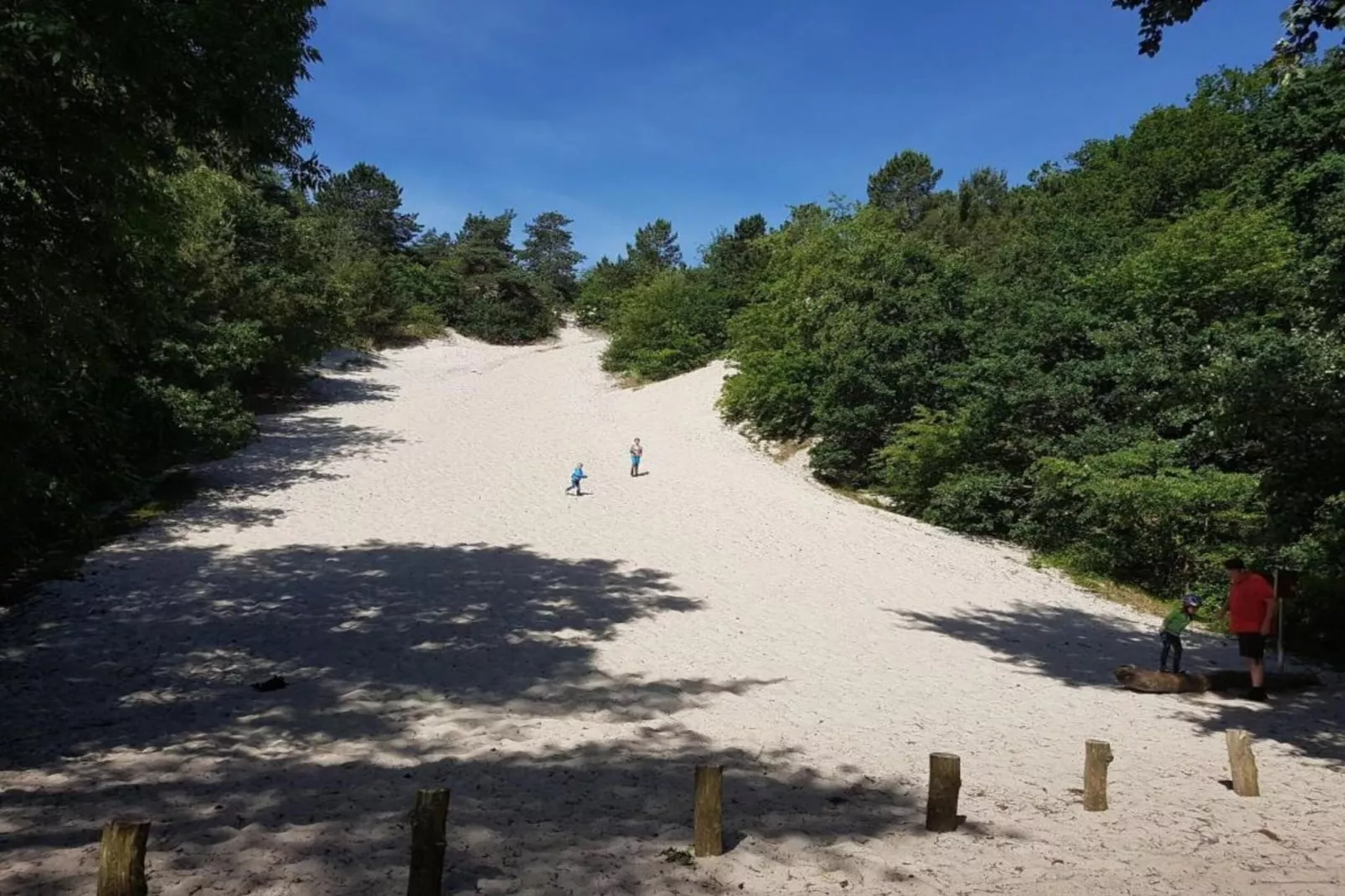 Fancy-Zones été à 20 km