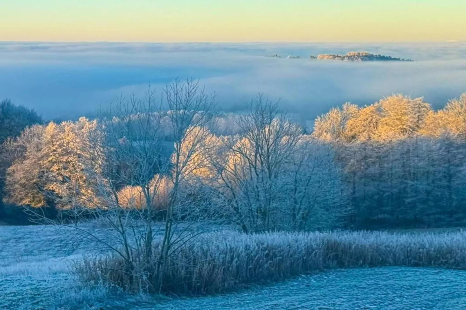 Holiday flats Haus am Wald Zenting-Wohnung für 4 Personen 56 qm-Area within 20km in winter