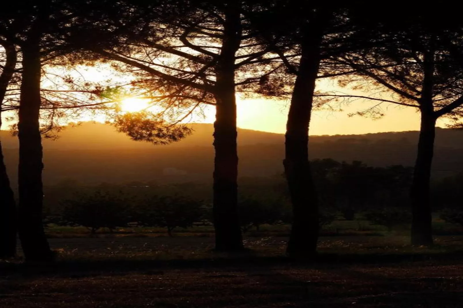 Colombaia-Areas within 5km in summer