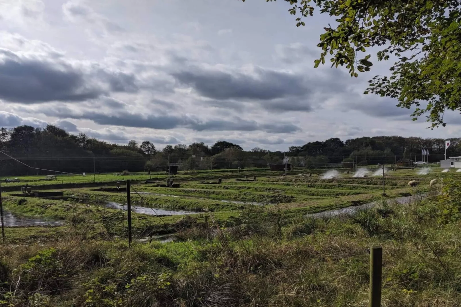 6 person holiday home in Hovborg-By Traum-Untagged