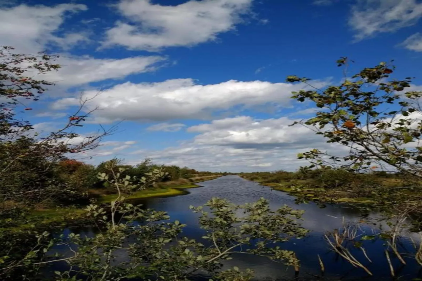 Friese Meren Villa's 12-Areas within 20km in summer