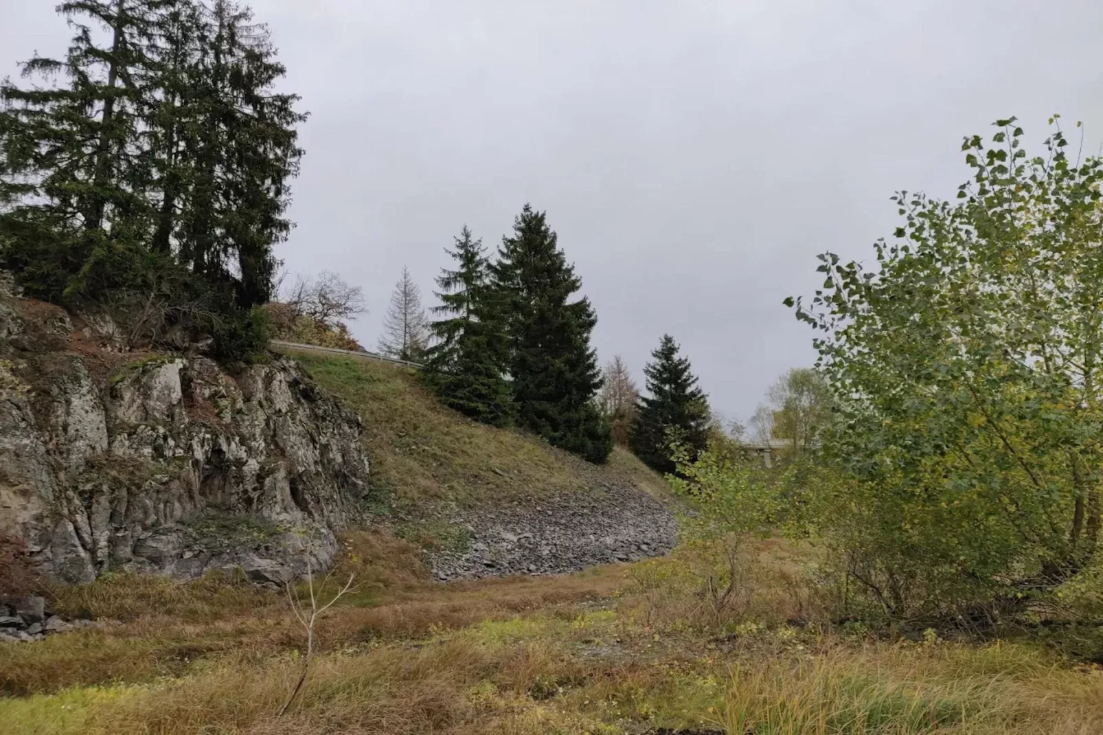 Ferienhaus in Hasselfelde - Haus 47 Blauvogel-Zones été à 20 km