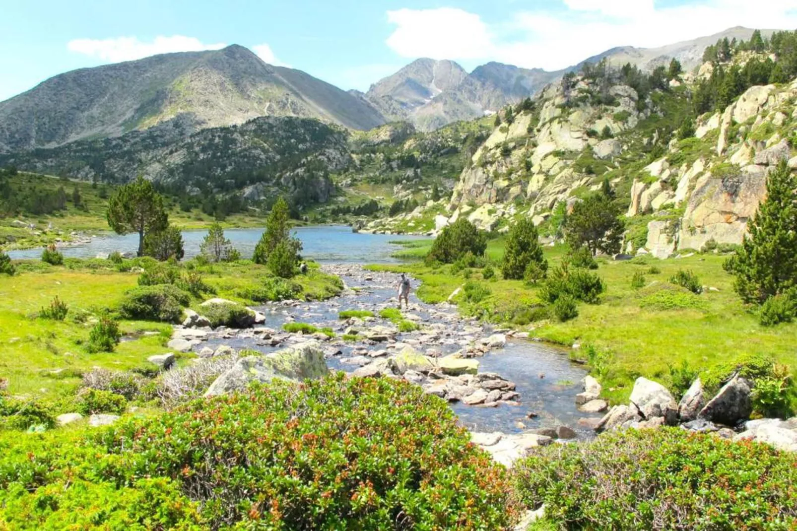 L'Espinet 2-Areas within 20km in summer