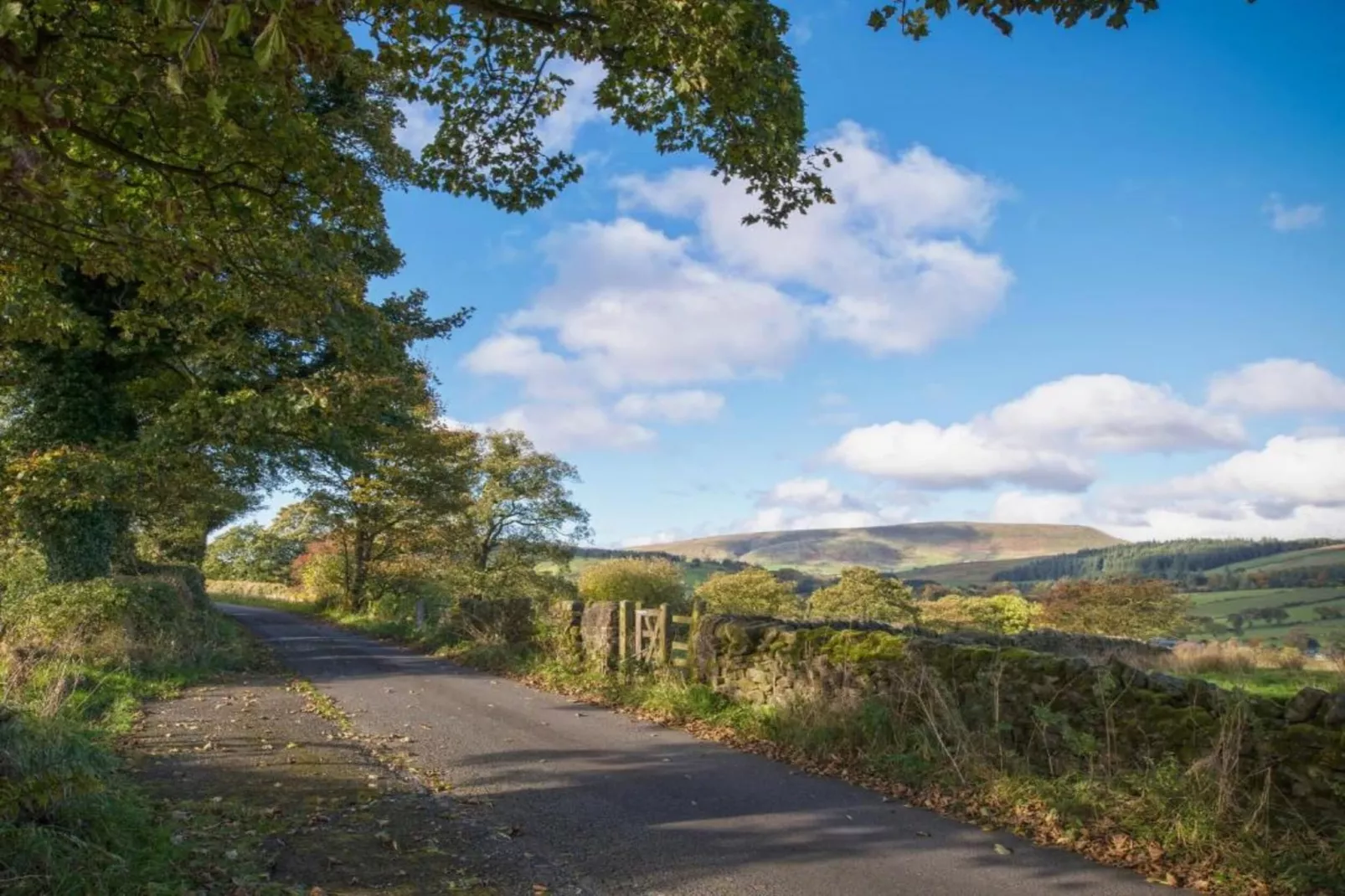 New Puddledock-Areas within 20km in summer