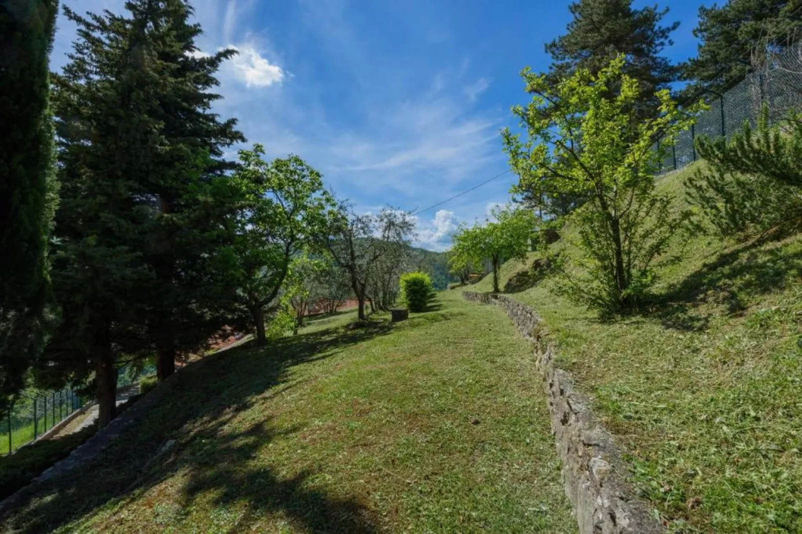 Olesettimo-Areas within 20km in summer