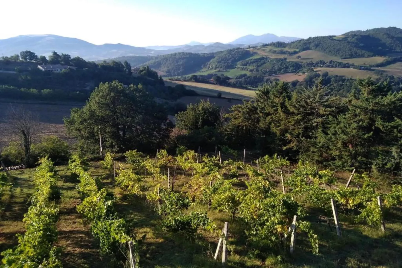 Piano Giardino-Areas within 20km in summer