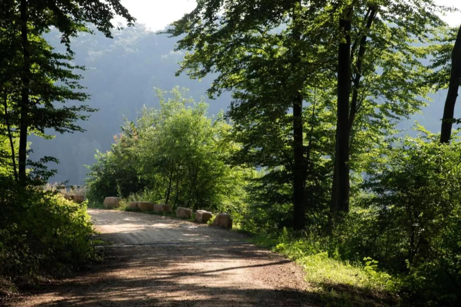 Resort Auf Kengert 1-Areas within 5km in summer