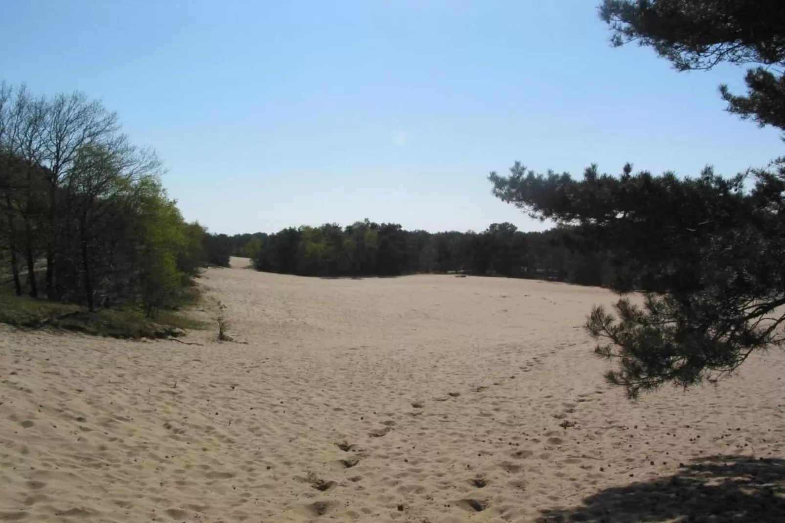 Vakantiepark Schaijk 10-Gebiete Sommer 5 km