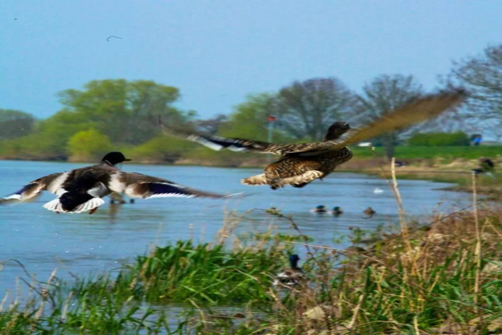 Vakantiepark Klein Vink 25-Areas within 20km in summer