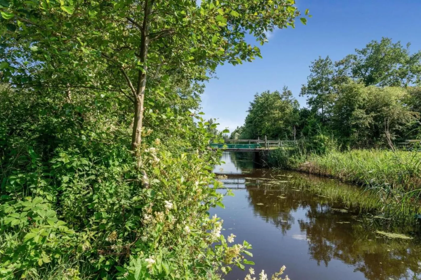 Twee safaritenten "Noflik" & "Gaadlik" naast elkaar-Areas within 5km in summer