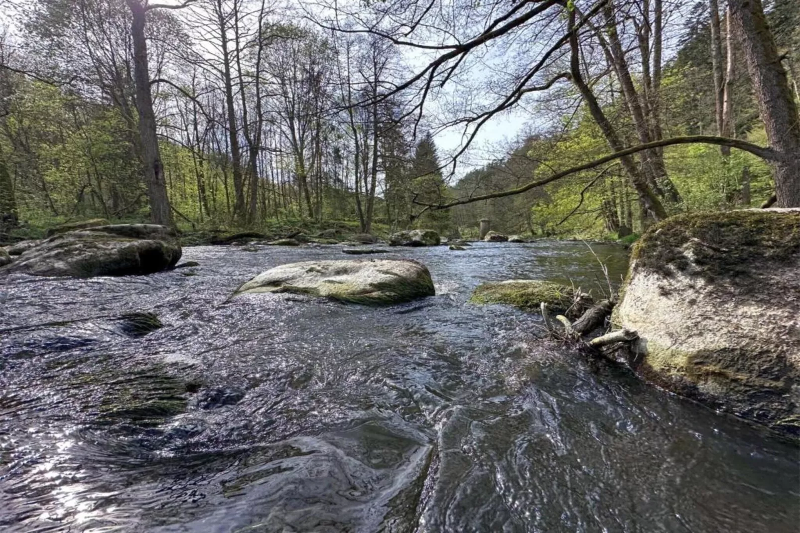 FERIENDORF SEEBLICK - Tiny Chalet am Eixendorfer See-Areas within 20km in summer
