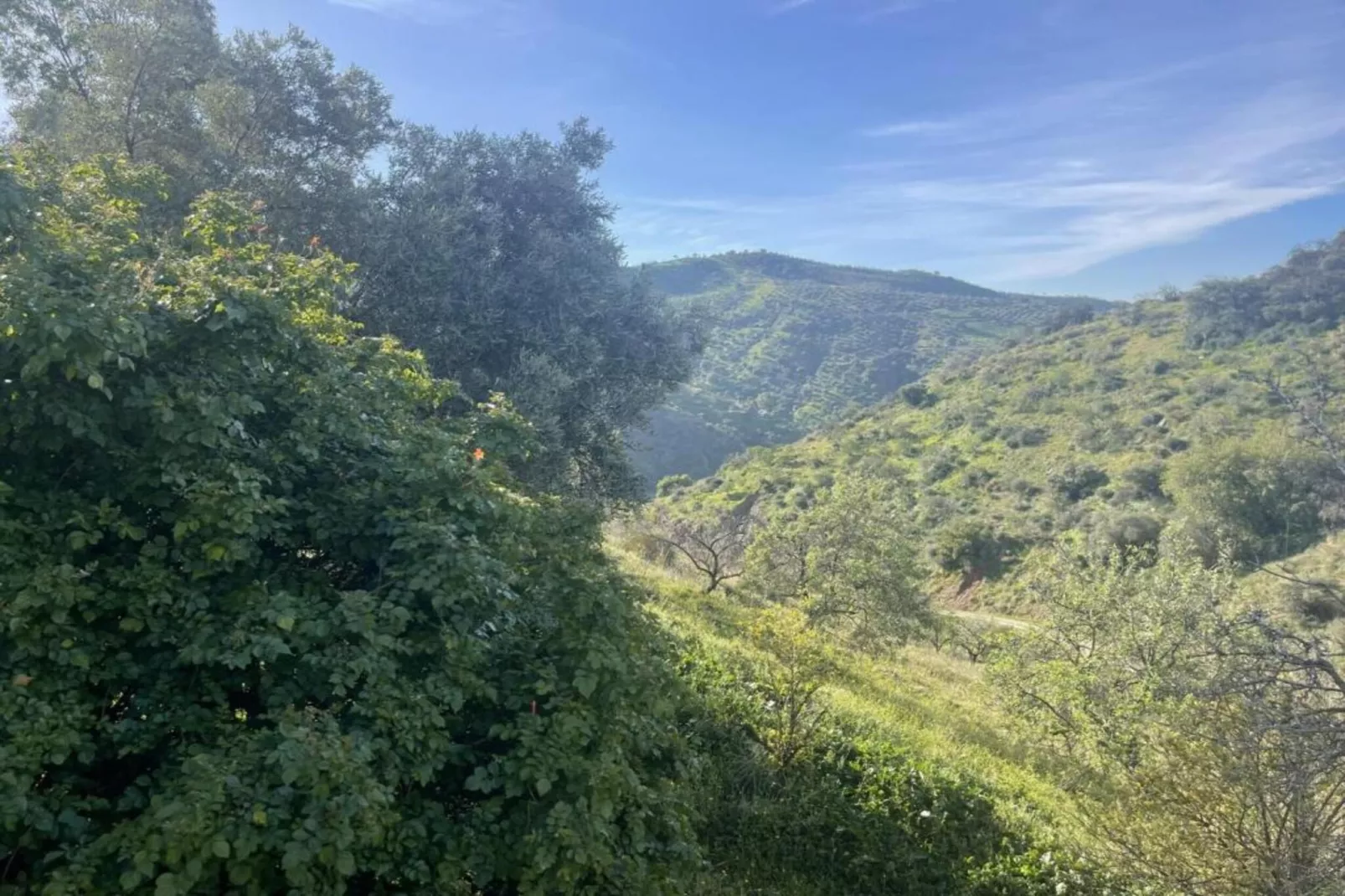 Casa el Cielo-Areas within 5km in summer