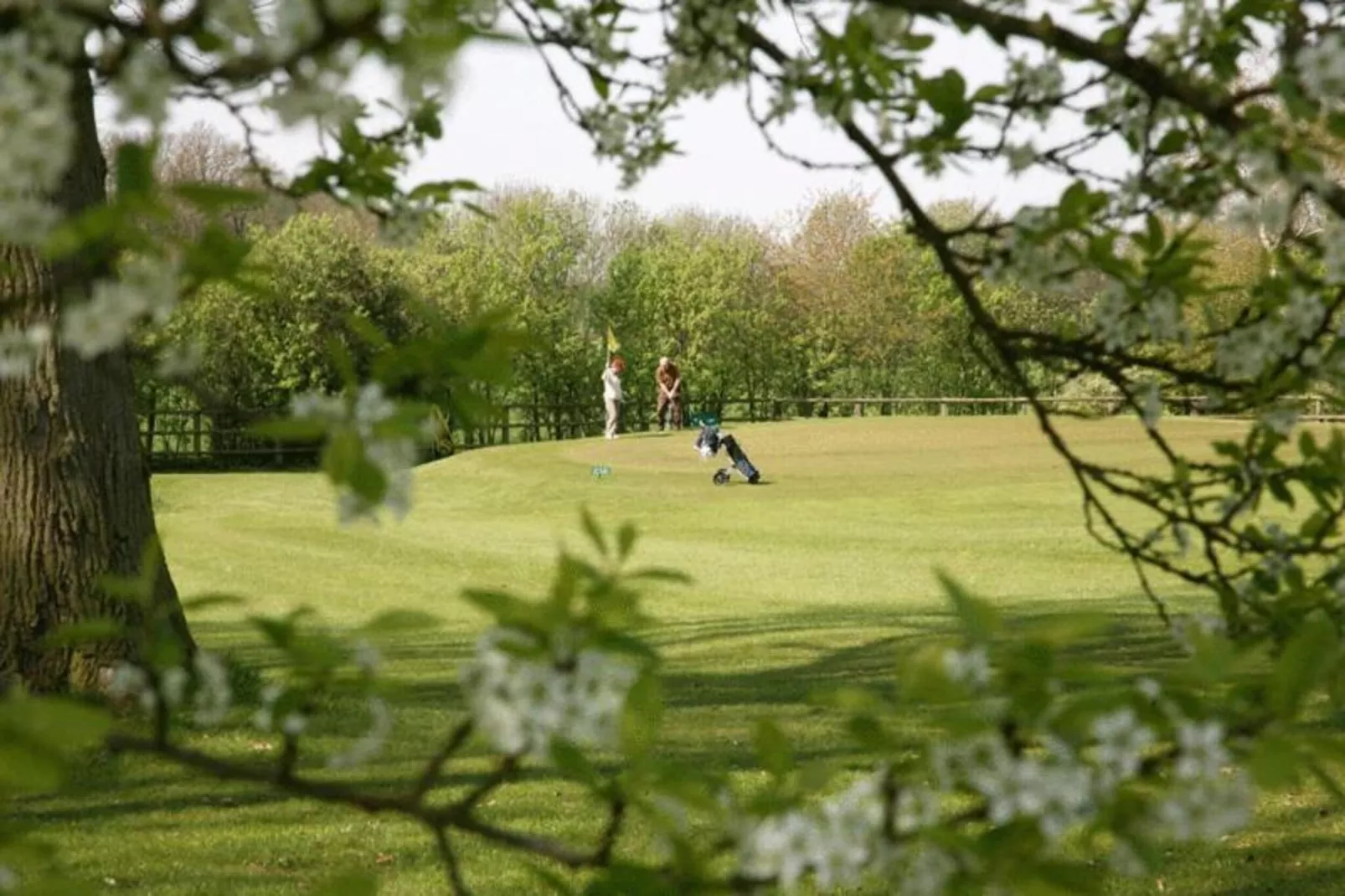 Ferienresort Bad Bentheim 33-Areas within 20km in summer