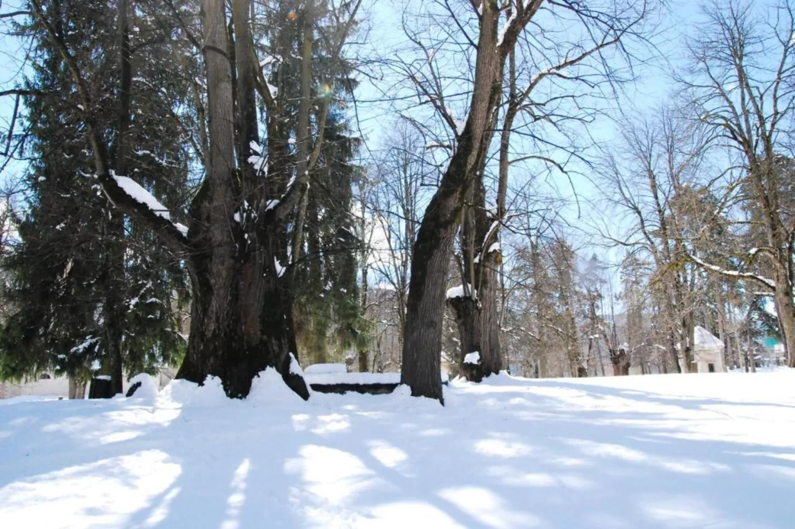 Le Plejadi Trilo-Gebiet Winter 20 km