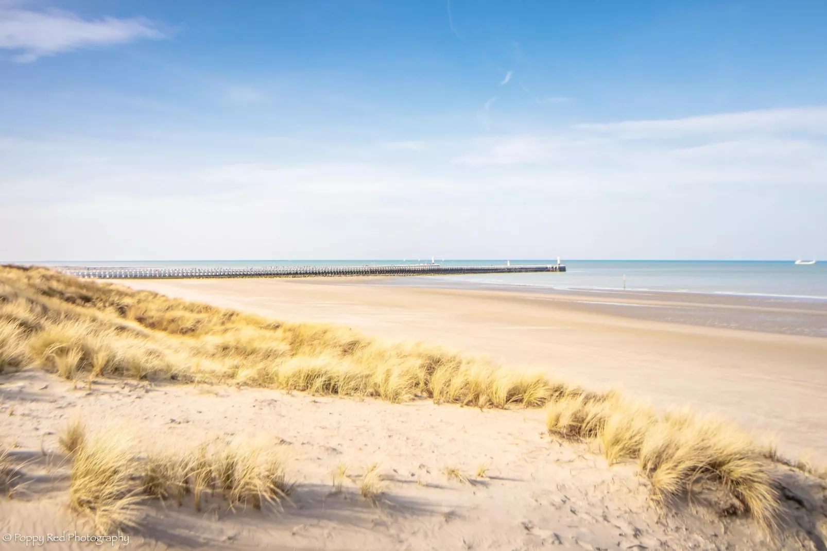 DE WARANDE VII-Gebiete Sommer 5 km