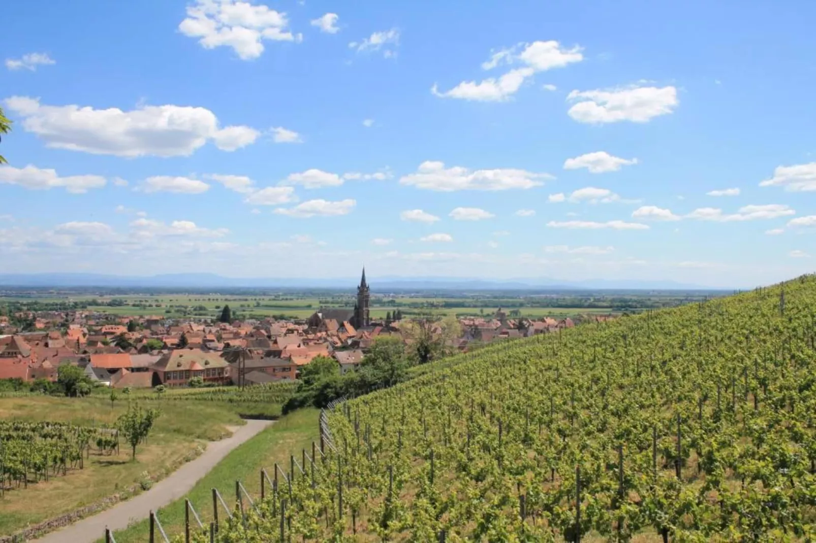 Magnifique Appartement Alsacien-Areas within 20km in summer