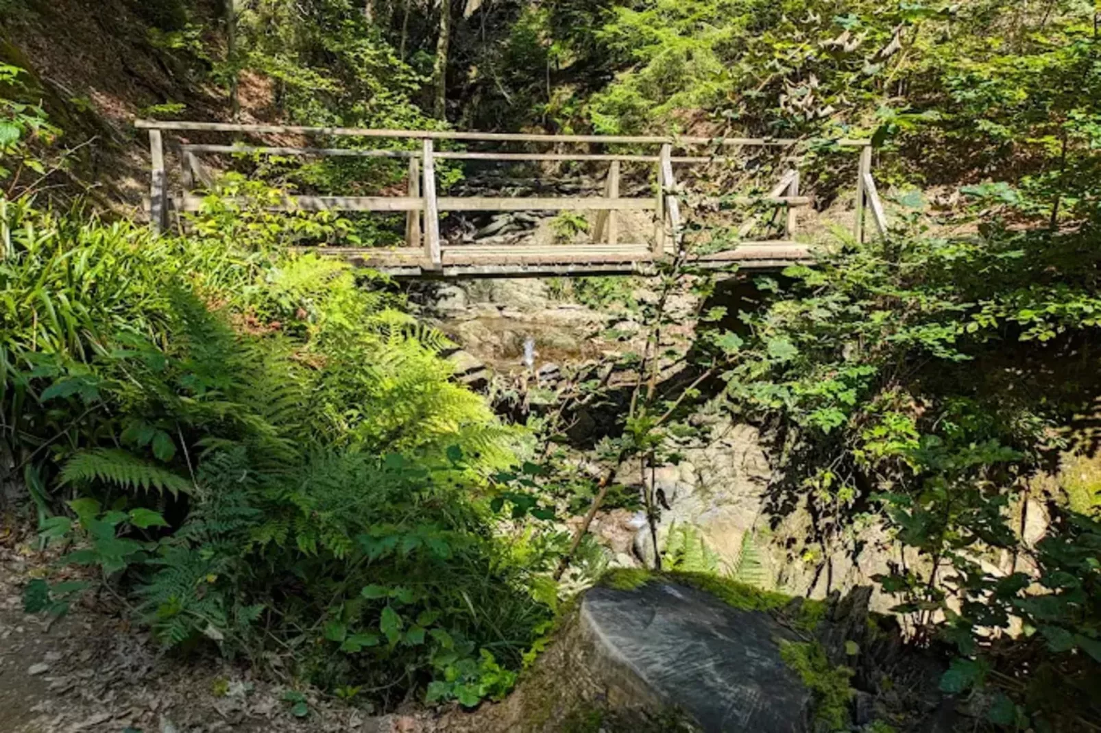 Auszeit Winterberg-Areas within 5km in summer